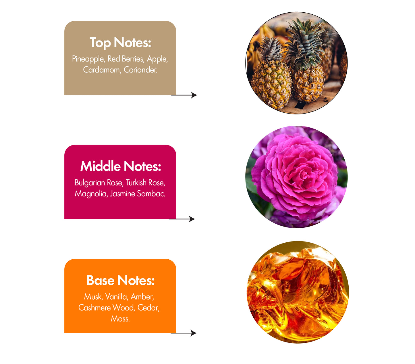 Faris Inspired by Kajal Lamar