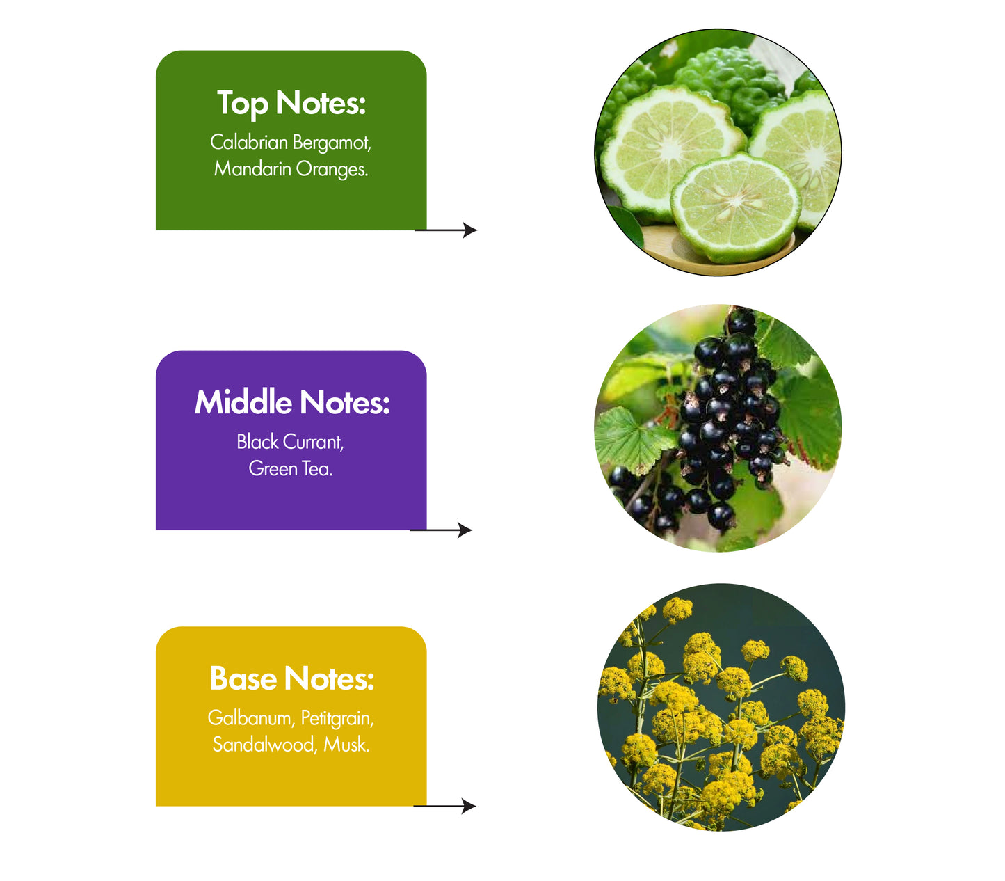 Waves Inspired by Silver Mountain Water