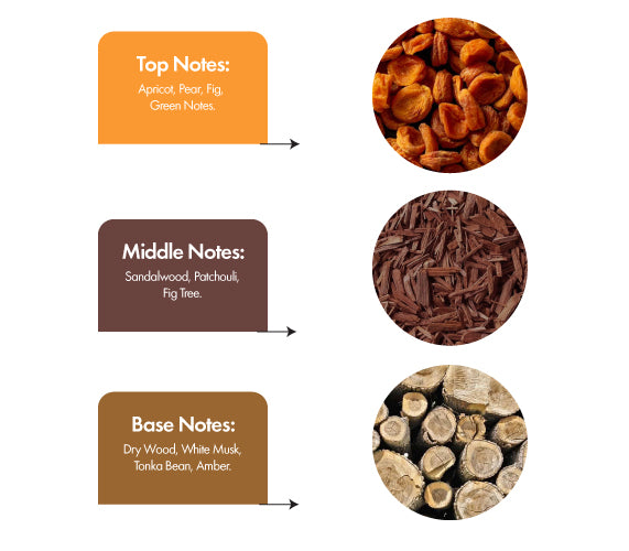 White Wood - Our Version of White Oud