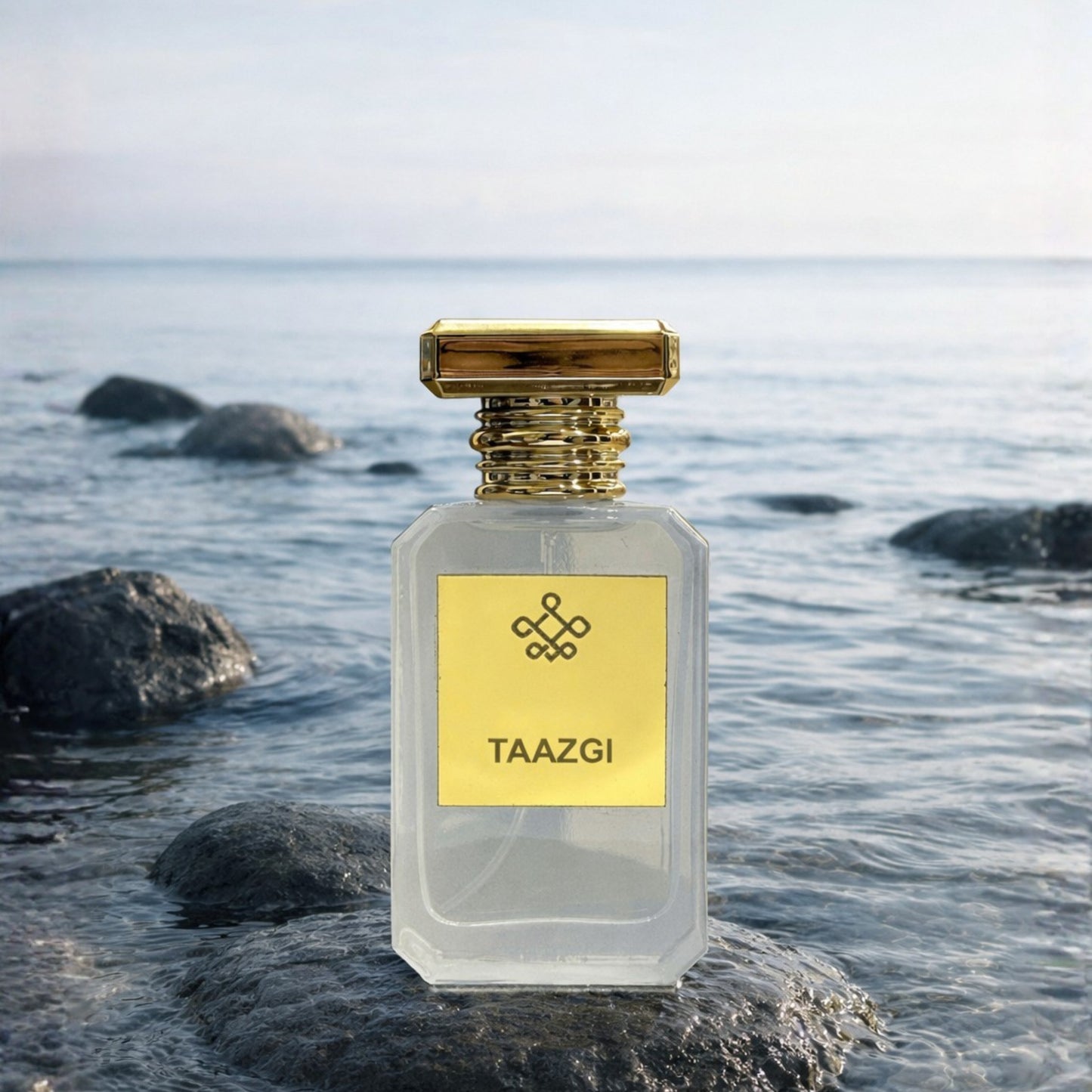 Taazgi Inspired by Hugo Boss
