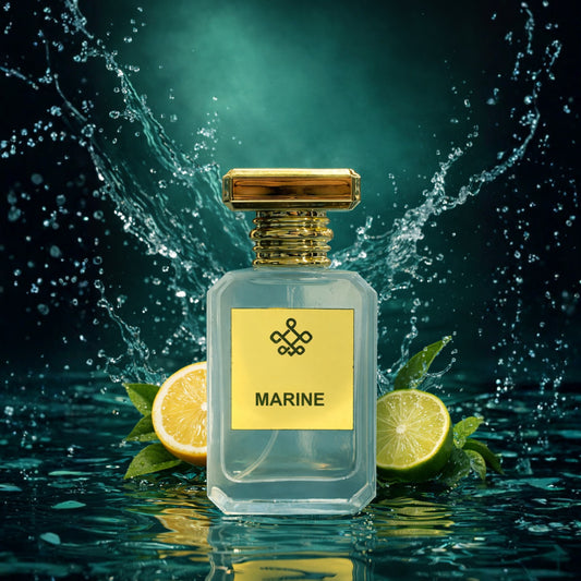 Marine - Inspired by Megamare