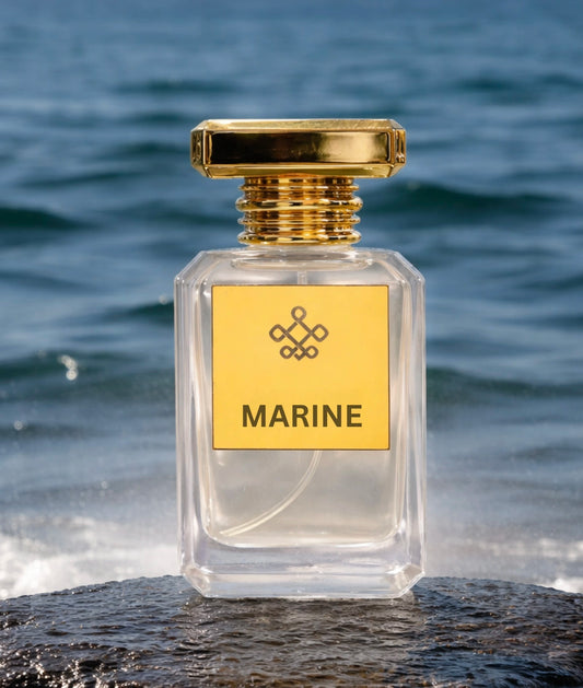 Marine - Inspired by Megamare