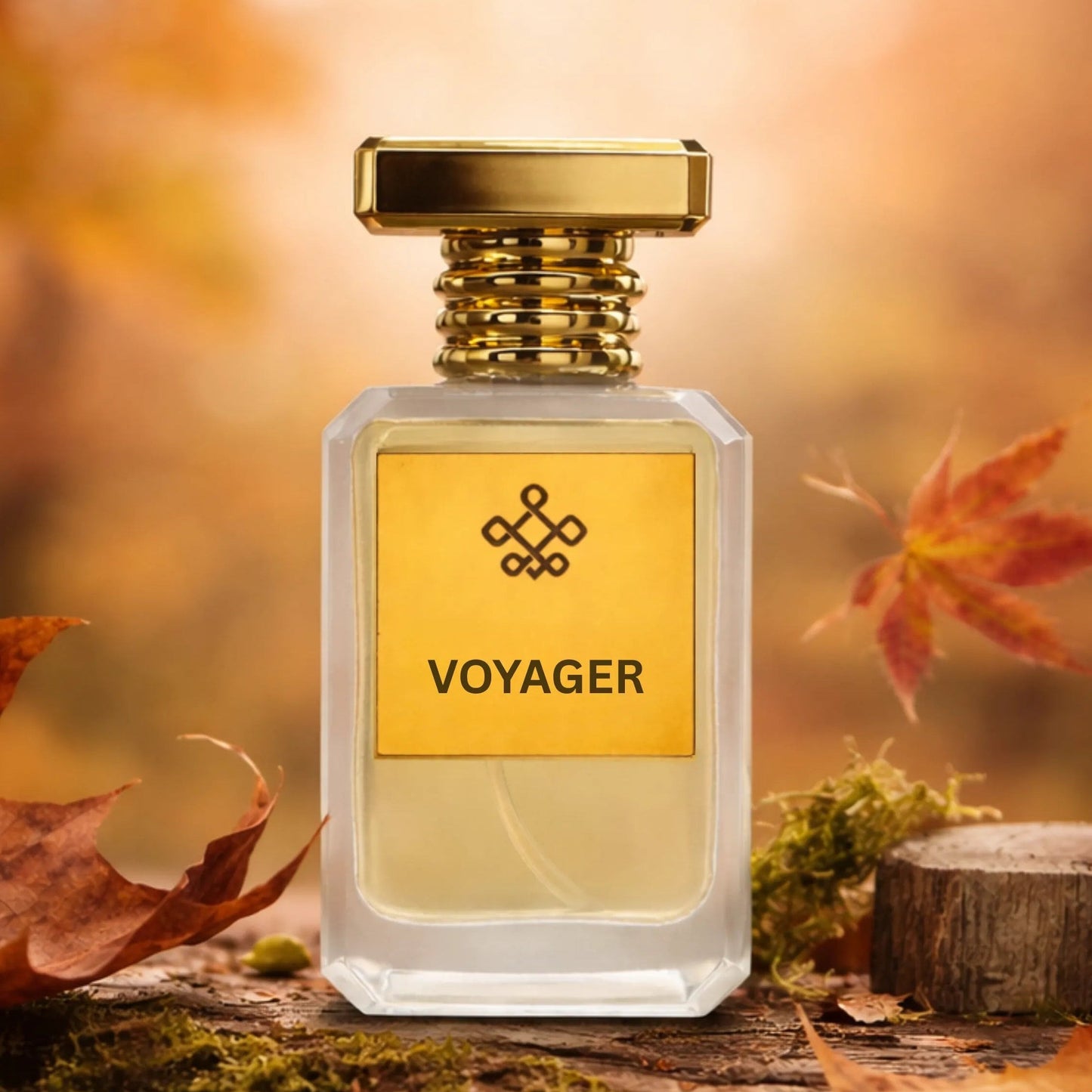 Voyager Inspired by Azzaro Wanted